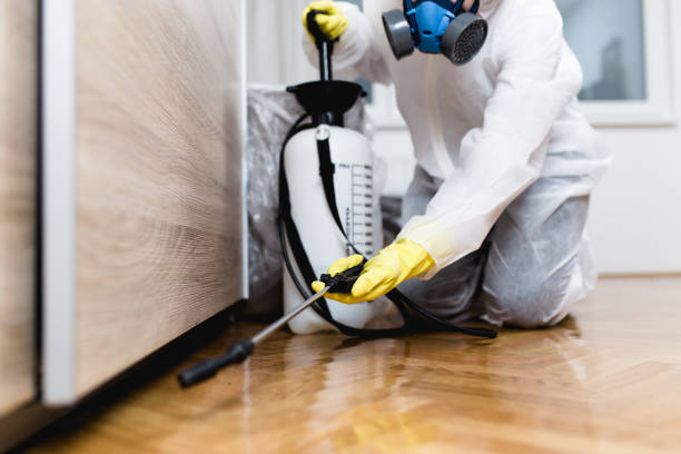 Best Flea Control Services  in Enon, VA