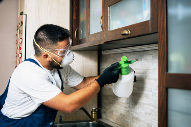 Best Pest Prevention Services  in Enon, VA