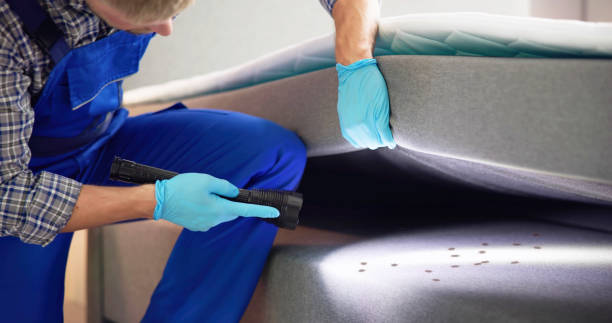 Best Best Pest Control Companies  in Enon, VA