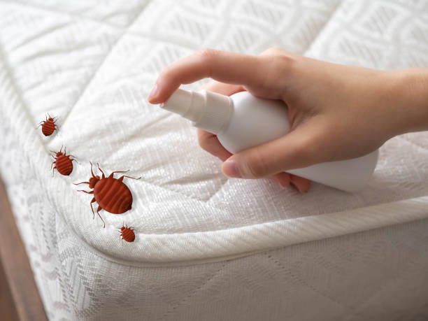 Best Wildlife Control Services  in Enon, VA