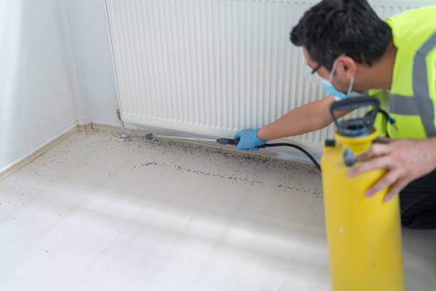 Best Pest Control Treatment  in Enon, VA